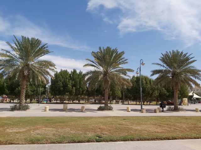 مواعيد حديقة الملك فهد بالمدينة المنورة | فعاليات |تعليقات الزوار