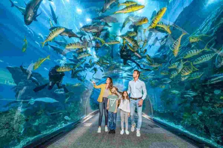 اسعار تذاكر الدخول إلى أكواريوم دبي dubai aquarium 2024